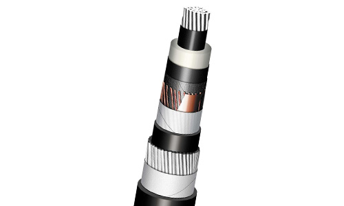 6/10 kV 12/20 kV 18/30 kV N2XSY NA2XSY N2XS2Y NA2XS2Y N2XS(F)2Y NA2XS(F)2Y N2XS(FL)2Y NA2XS(FL)2Y Single Core Cable